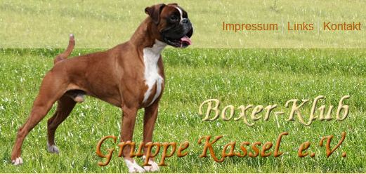 Boxer-Klub Gruppe Kassel
